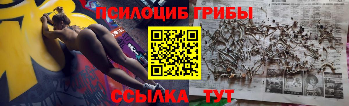 купить наркотики цена  Вход с VPN  Тула  Галлюциногенные грибы Magic Shrooms 